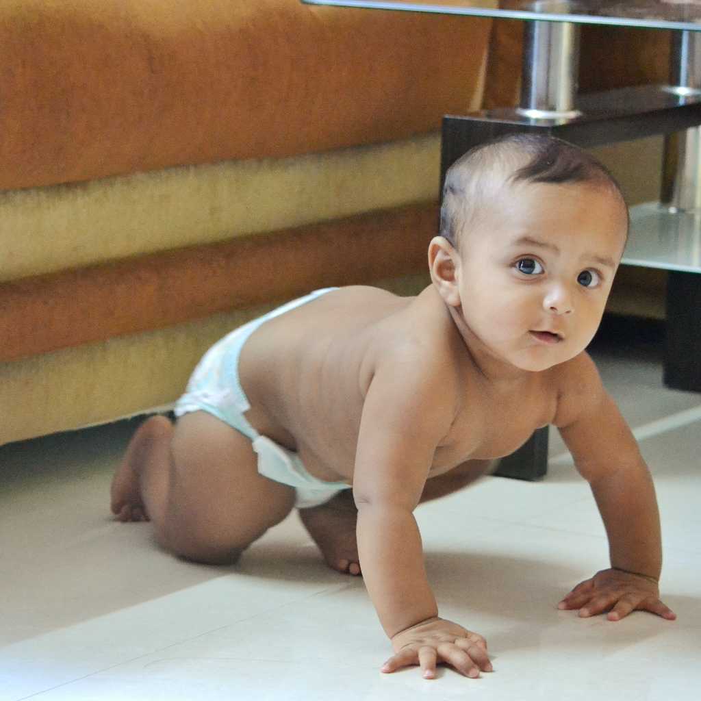 profile image of Nim