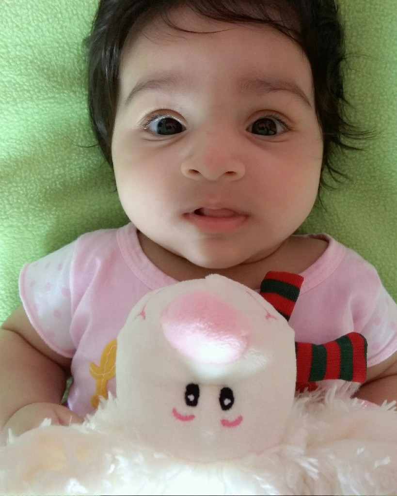 profile image of Nikhita David