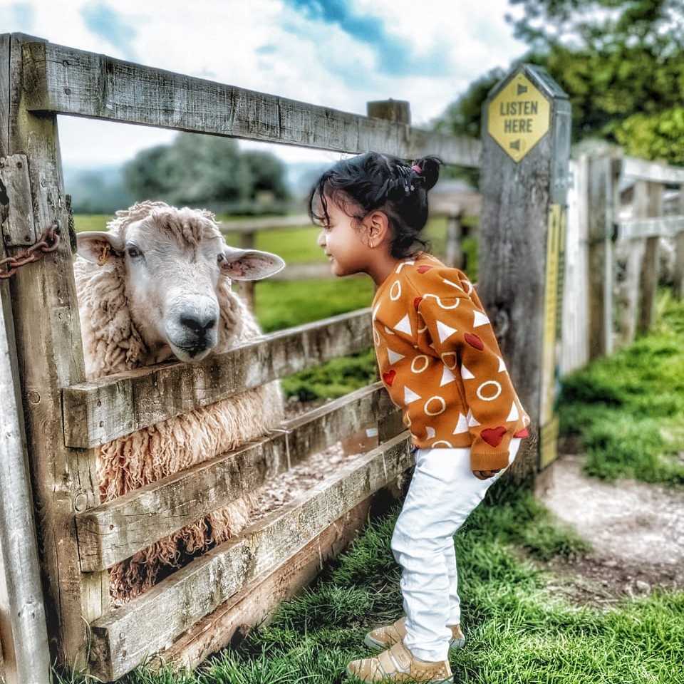 profile image of Shritoma Roy Choudhury