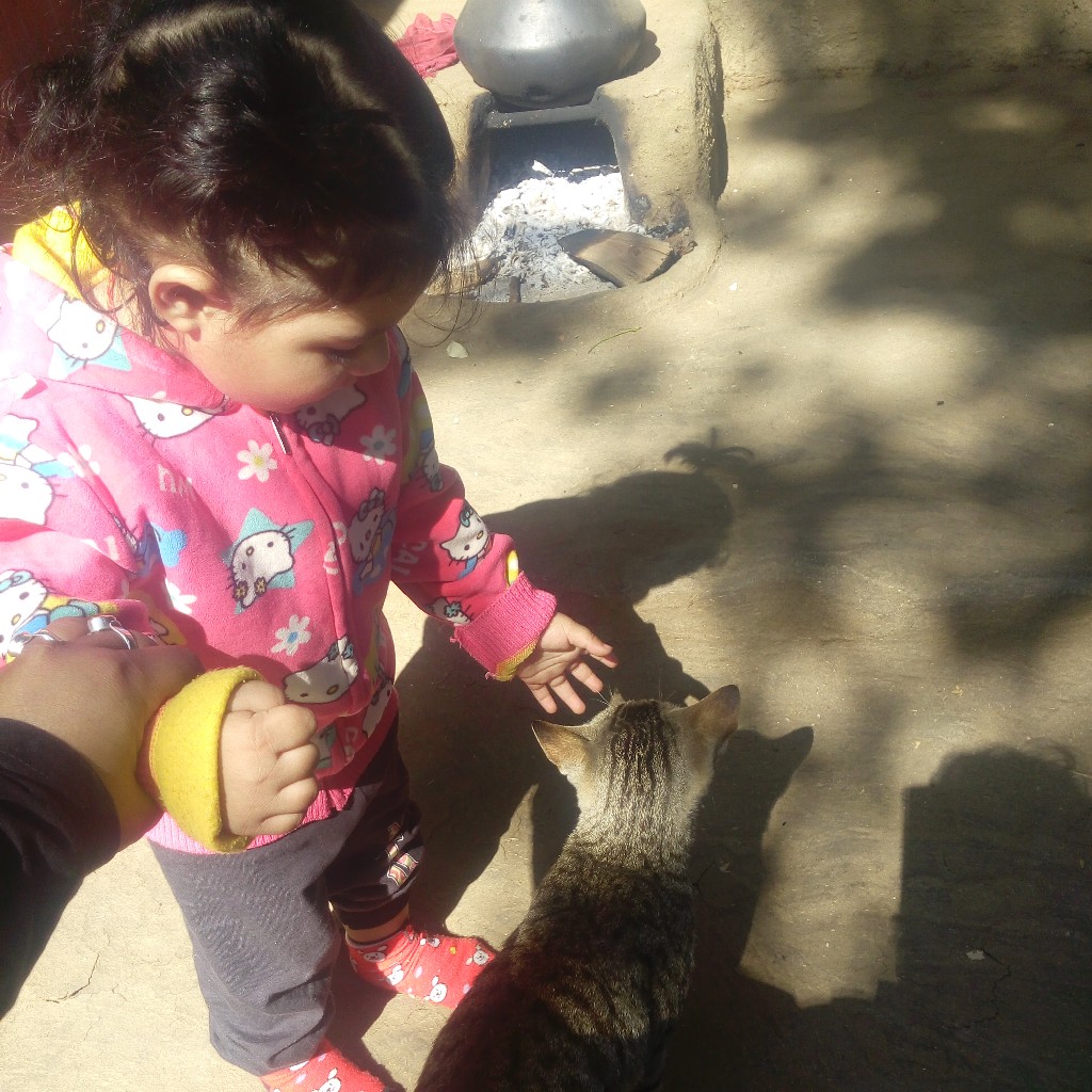 profile image of Amit Agrawal