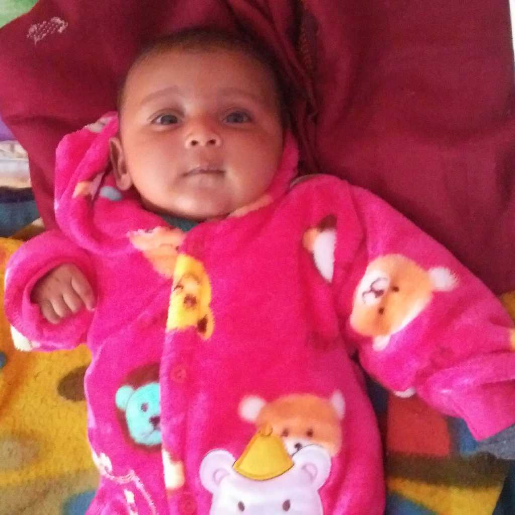 profile image of Himani Pandey