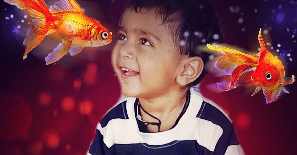 profile image of jd parmar