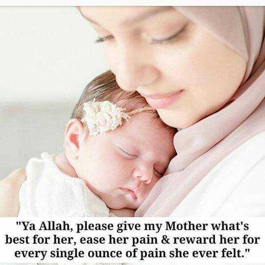 profile image of naser sayeed