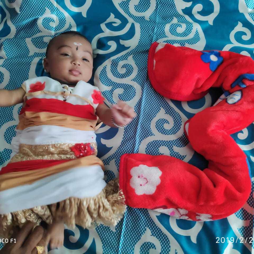 profile image of Nikhila