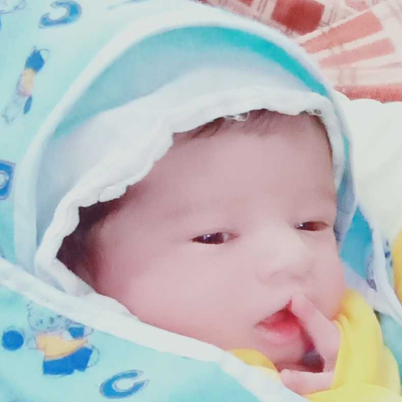 profile image of Sheetal Pawar