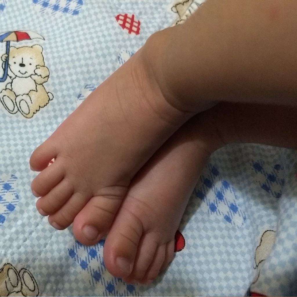 profile image of Cecilia Pacheco